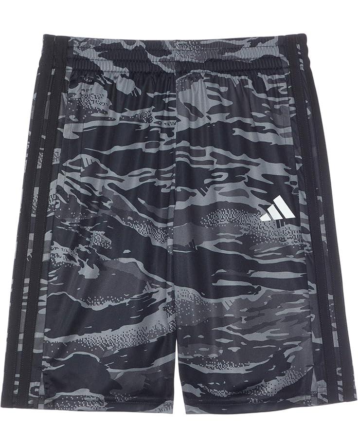 6pm adidas Kids Aop Tiger Camo Shorts (Big Kids)