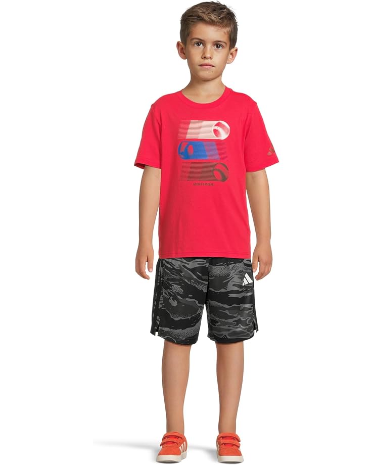 6pm Adidas Kids Graphic Tee (Toddler/Little Kids)