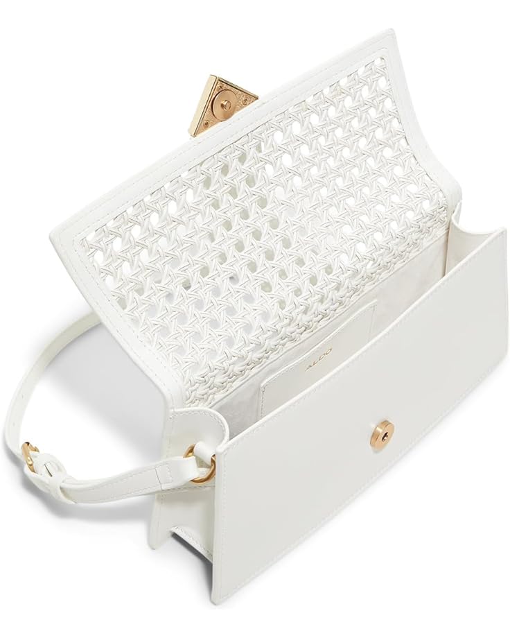 6pm ALDO Zenithpurse