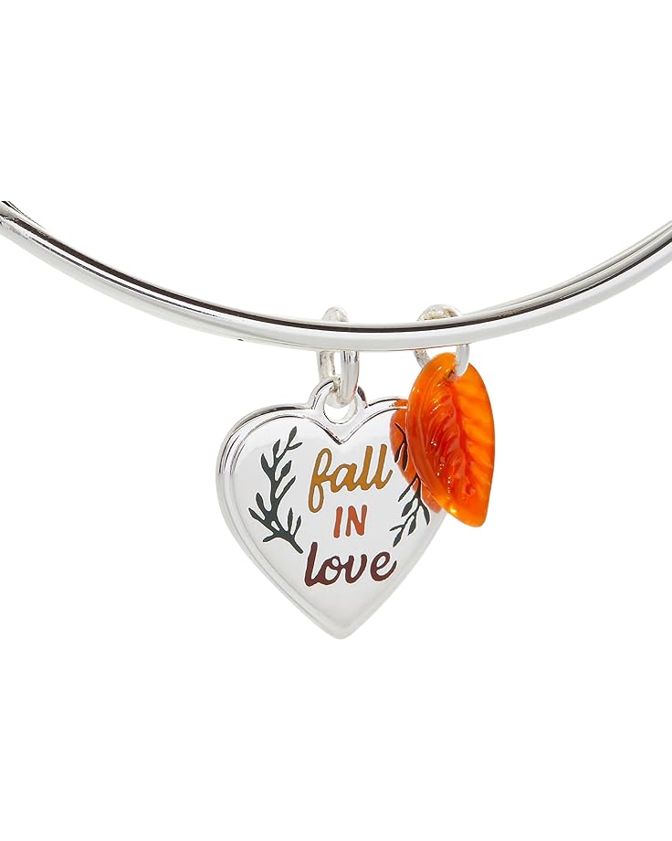 6pm Alex And Ani Fall In Love Duo Charm Bracelet