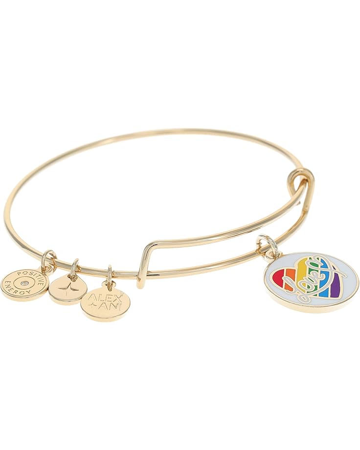 6pm Alex and Ani LOVE Rainbow Heart Bracelet