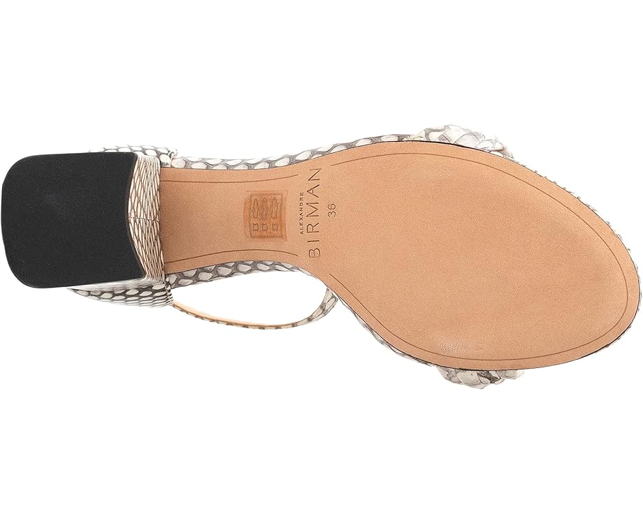 6pm Alexandre Birman Malica 60 Exotic Women's