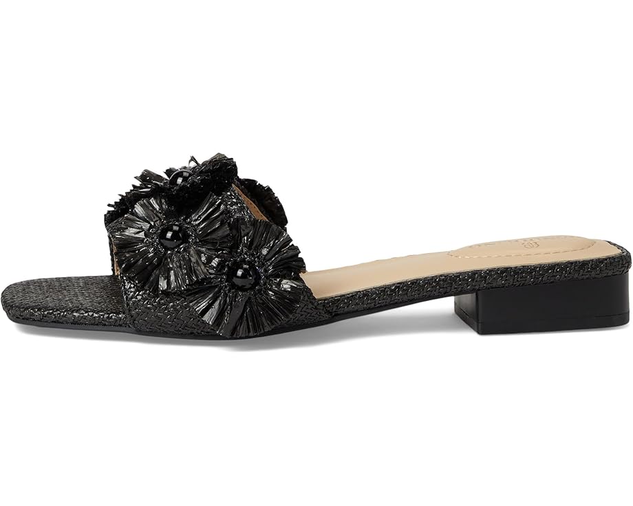 6pm Bandolino Marcell Women's