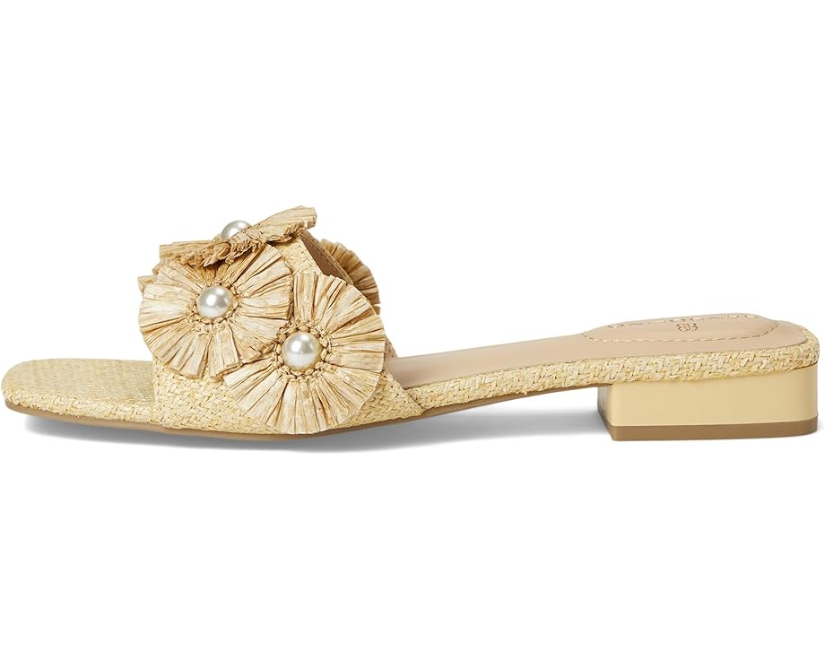 6pm Bandolino Marcell Women's