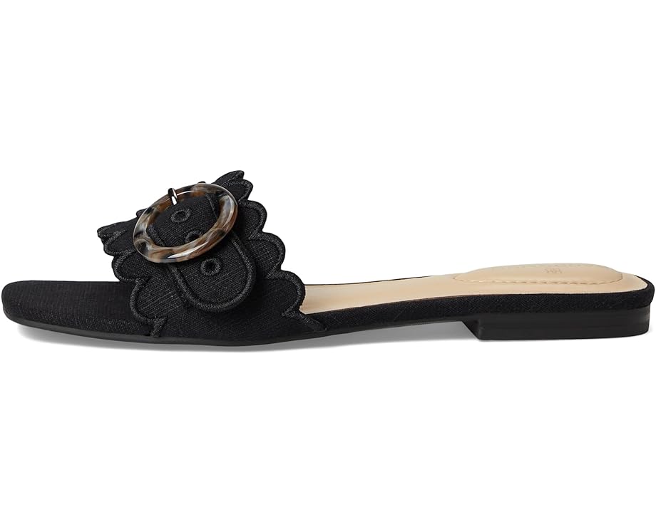 6pm Bandolino Silla Women's