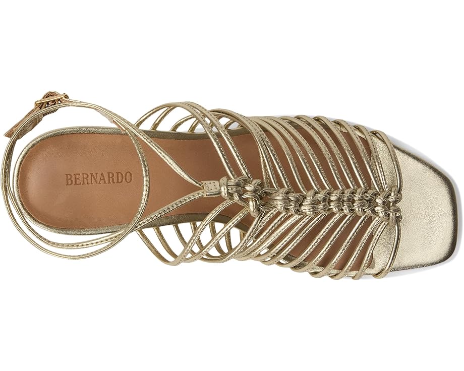 6pm Bernardo Briga Women's