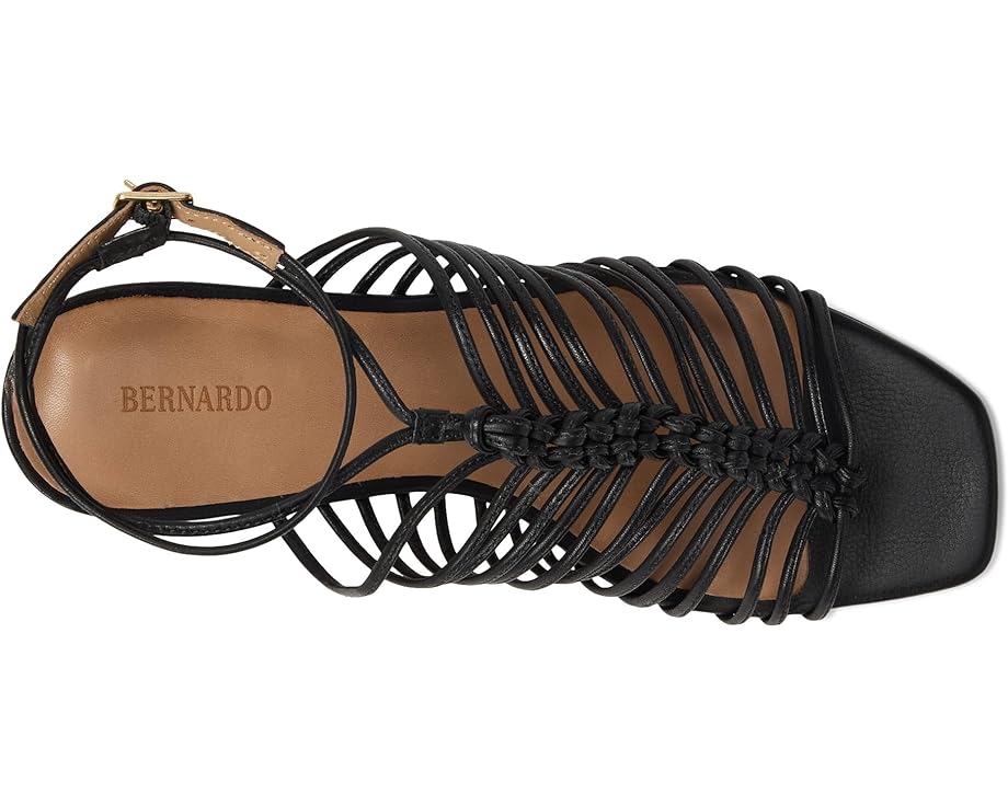 6pm Bernardo Briga Women's