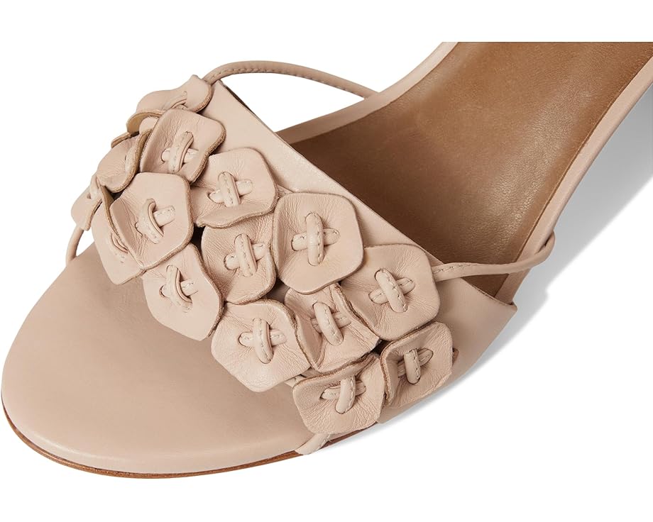 6pm Bernardo Ieda Floral Women's