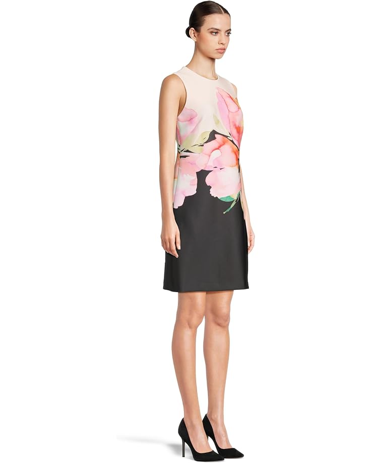 Calvin Klein Scuba Foral Sheath Women's