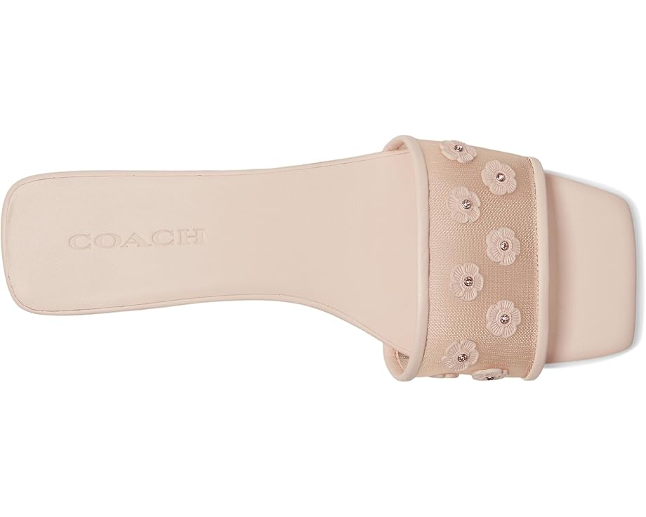6pm COACH Flat Sandals With Tea Rose Women's