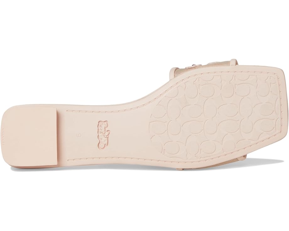6pm COACH Flat Sandals With Tea Rose Women's
