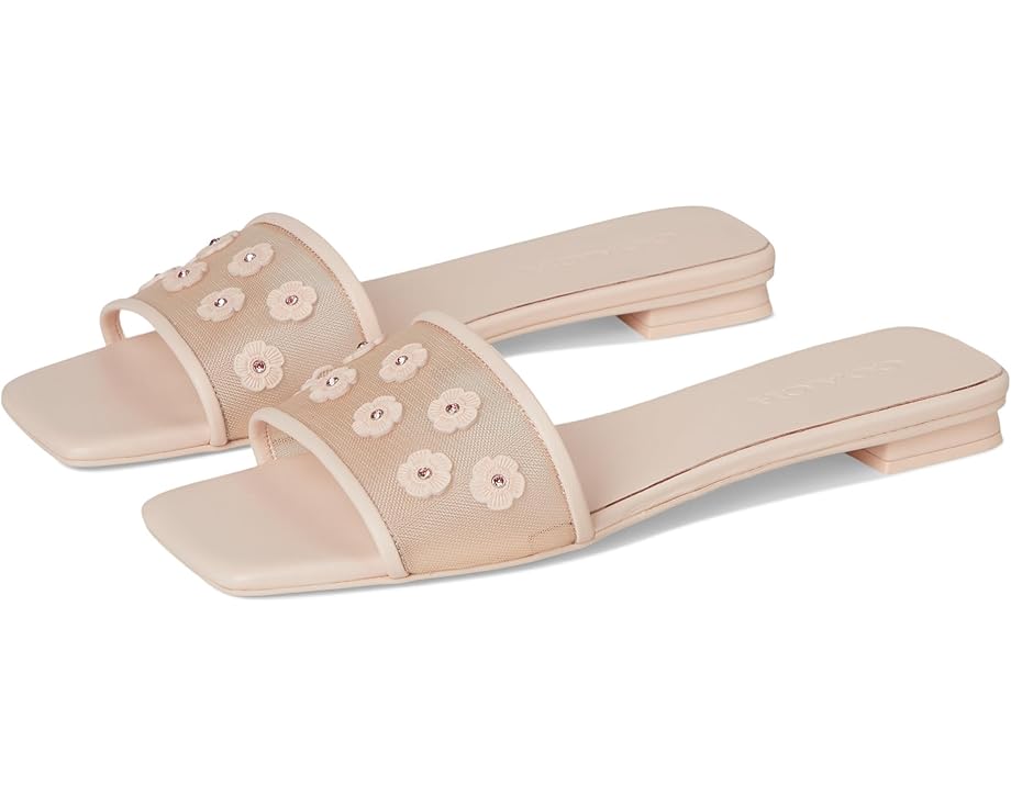 6pm COACH Flat Sandals With Tea Rose Women's