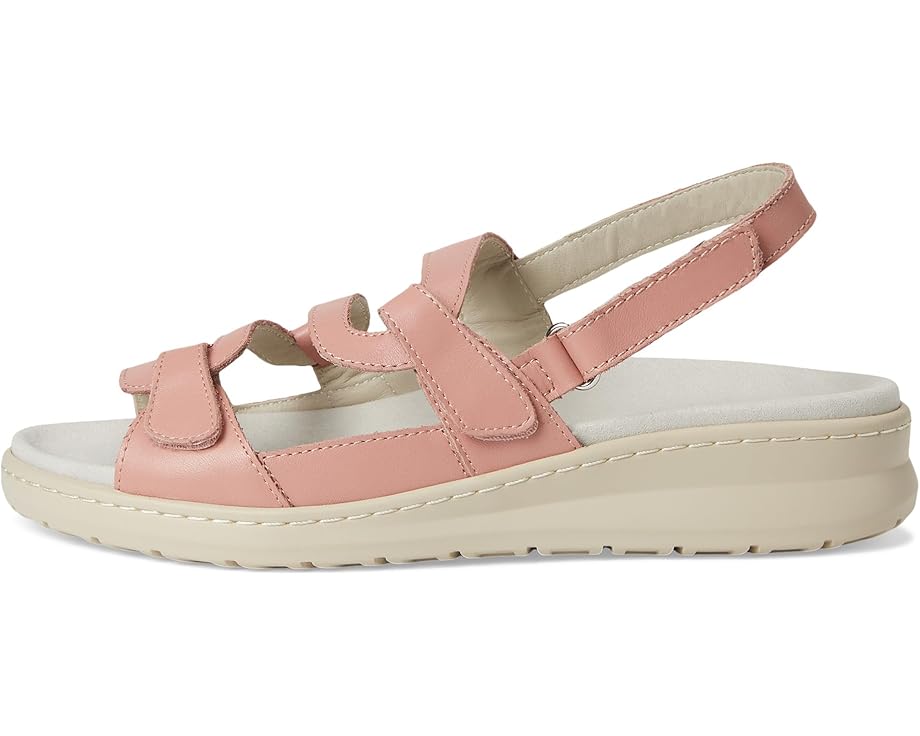 6pm David Tate Femme Women's