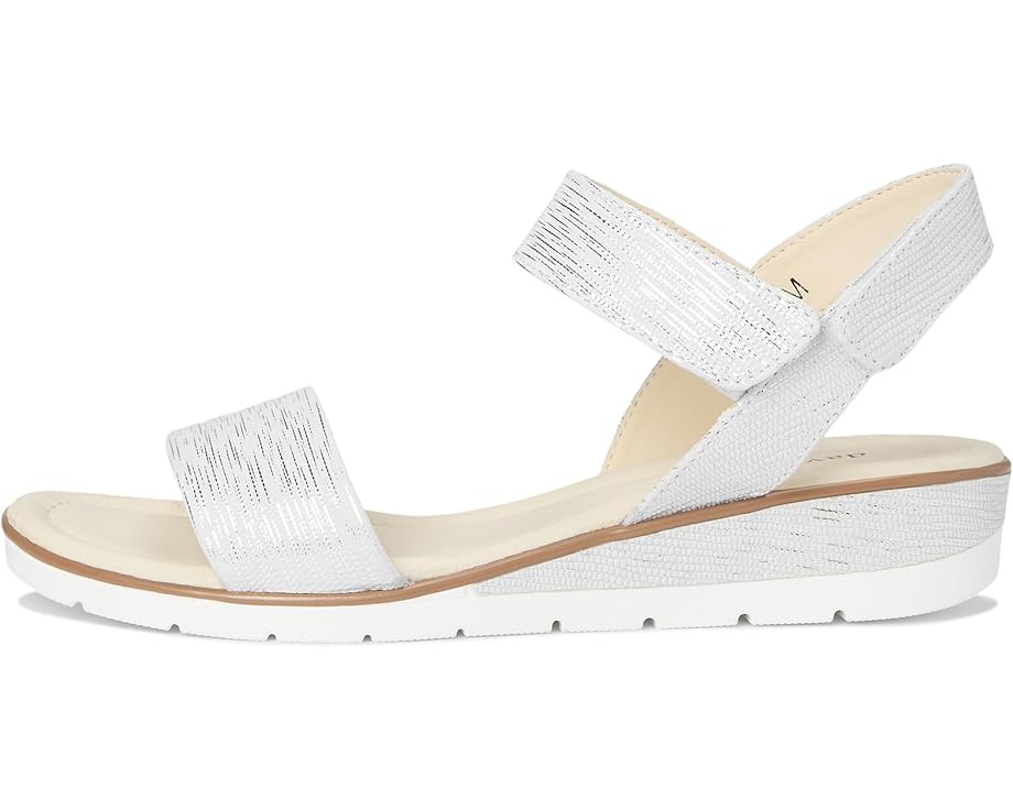 David Tate Scala Women's