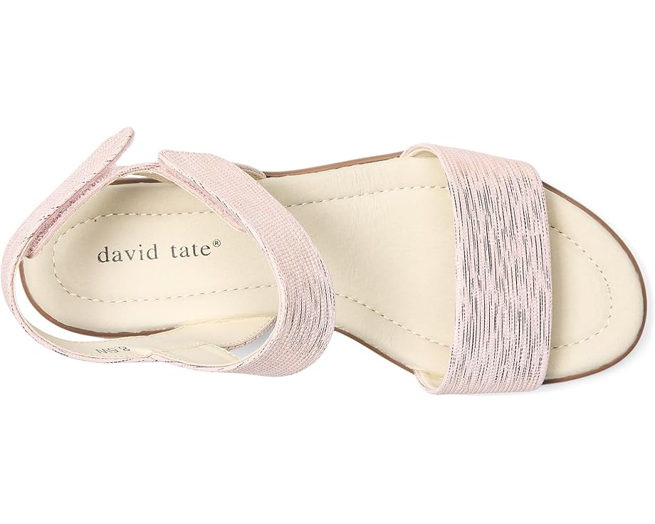 David Tate Scala Women's
