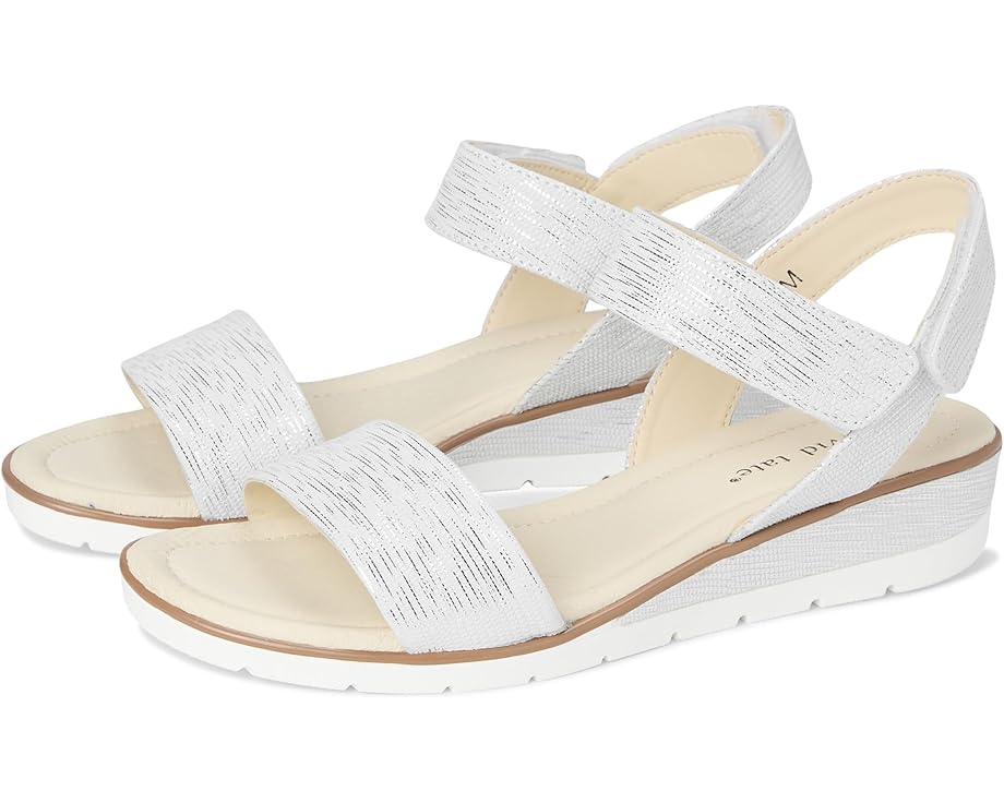 David Tate Scala Women's