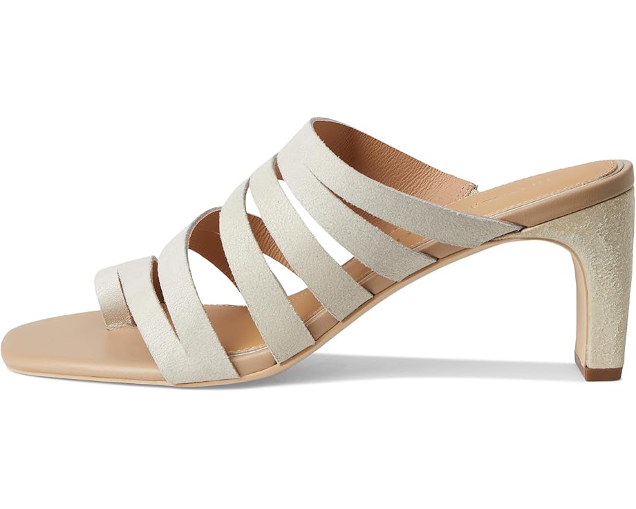 6pm Donald Pliner Havanna Women's