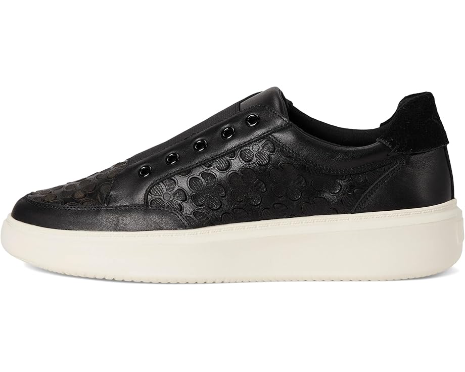 6pm Donald Pliner Mikko Women's