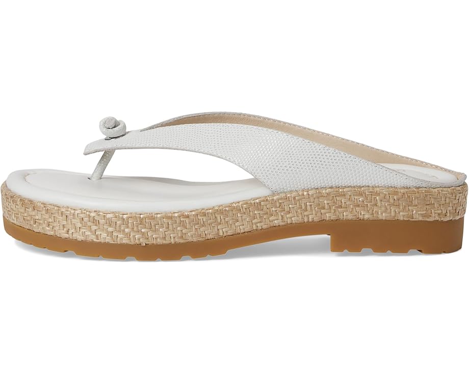 6pm Donald Pliner Seena Women's