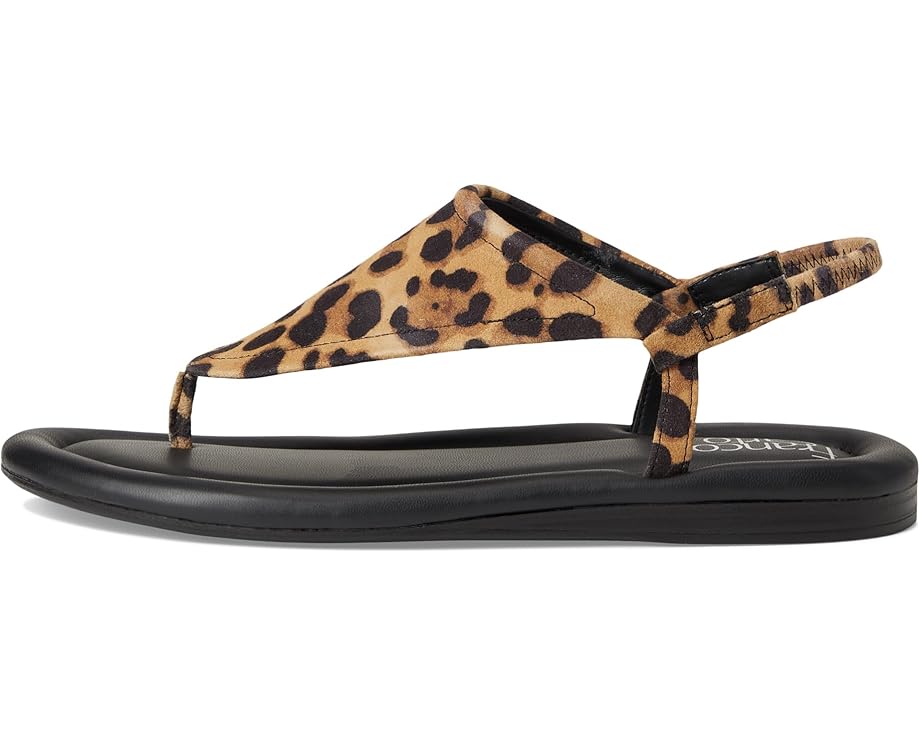 6pm Franco Sarto Jocelyn Women's