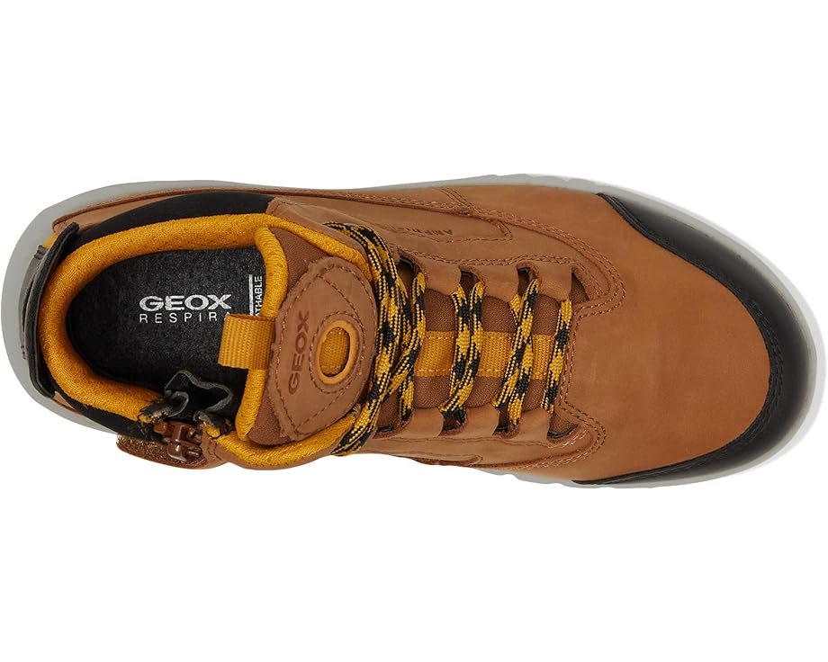 Geox Kids Aeranter ABX 1 (Little Kid/Big Kid)