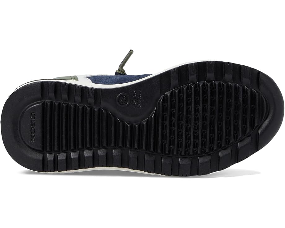 Geox Kids Alben 47 (Little Kid/Big Kid)
