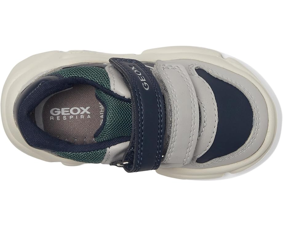 Geox Kids Ciufciuf 4 (Toddler)