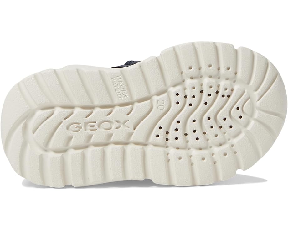 Geox Kids Ciufciuf 4 (Toddler)
