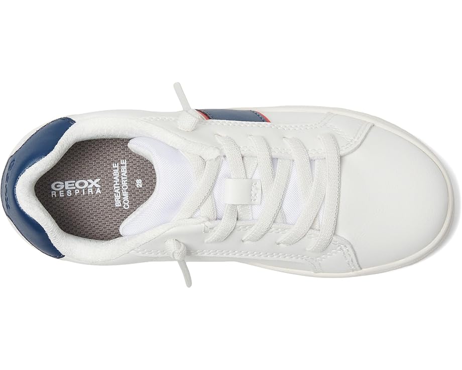 Geox Kids Eclyper 6 (Little Kid/Big Kid)