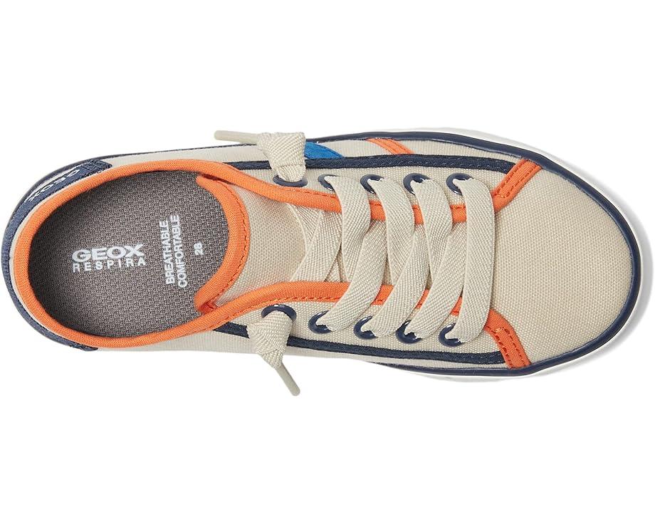Geox Kids Gisli 48 (Little Kid/Big Kid)