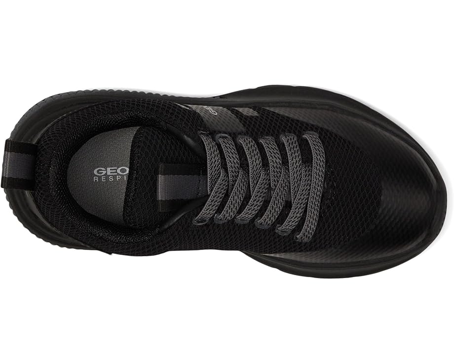 Geox Kids J Activart Boy (Little Kid/Big Kid)