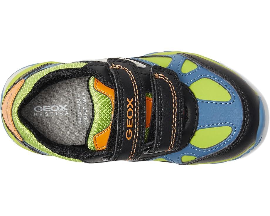 Geox Kids Pavel 34 (Toddler/Little Kid/Big Kid)
