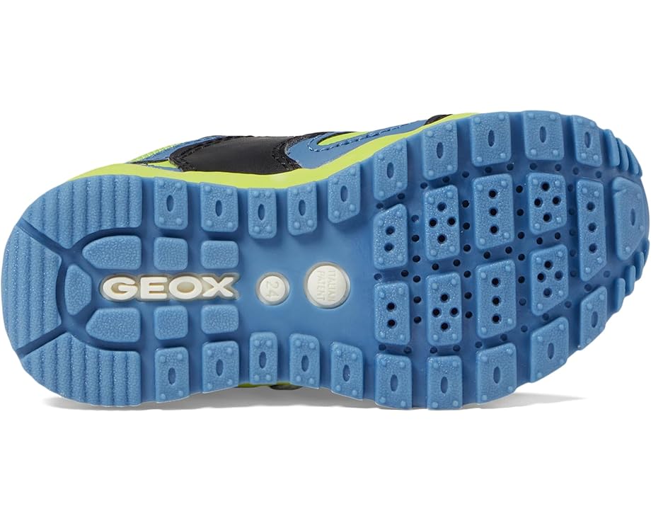 Geox Kids Pavel 34 (Toddler/Little Kid/Big Kid)