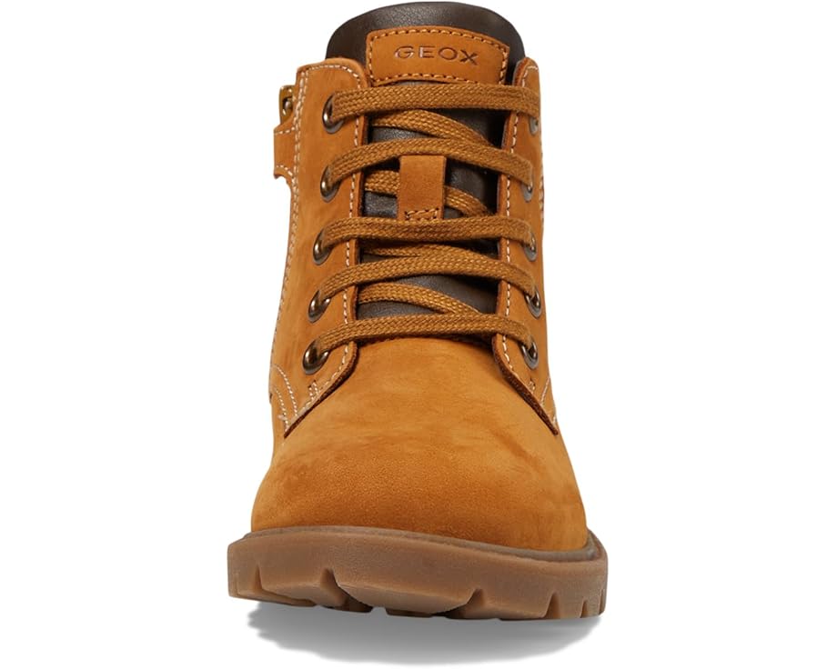 Geox Kids Shaylax 2 (Little Kid/Big Kid)