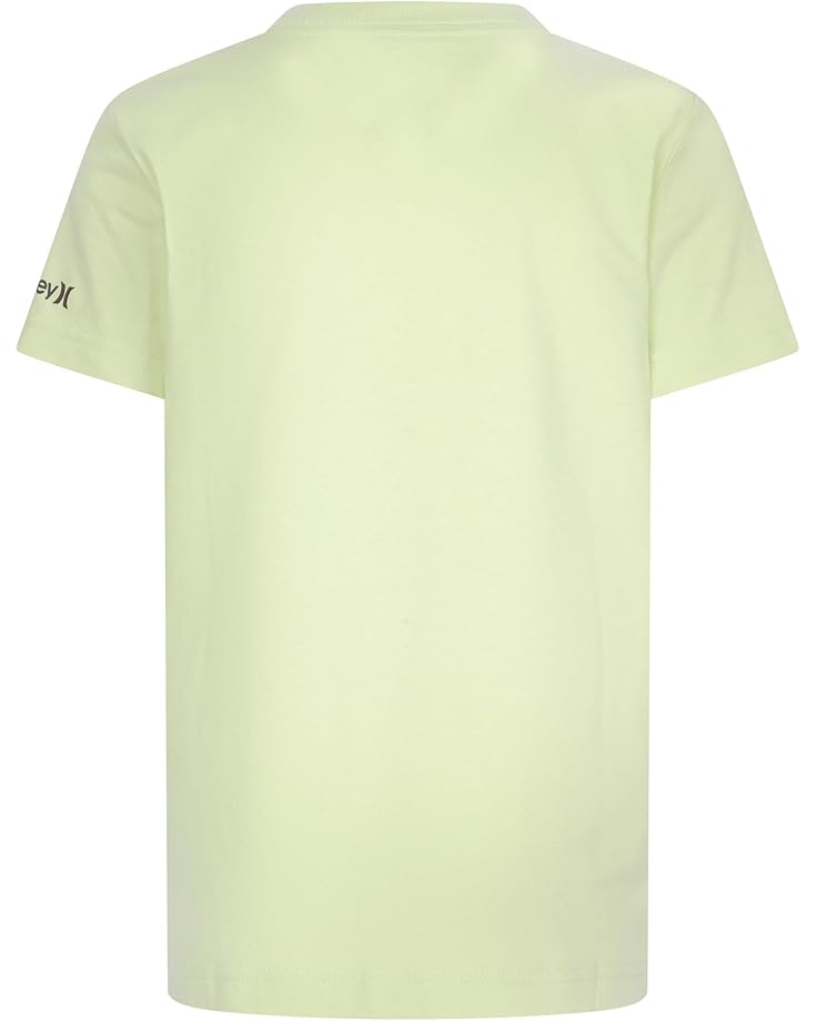 Hurley Kids Scenic Poster Tee (Little Kid)