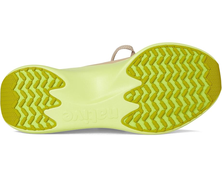 6pm Native Shoes Apollo 10 Roam Unisex