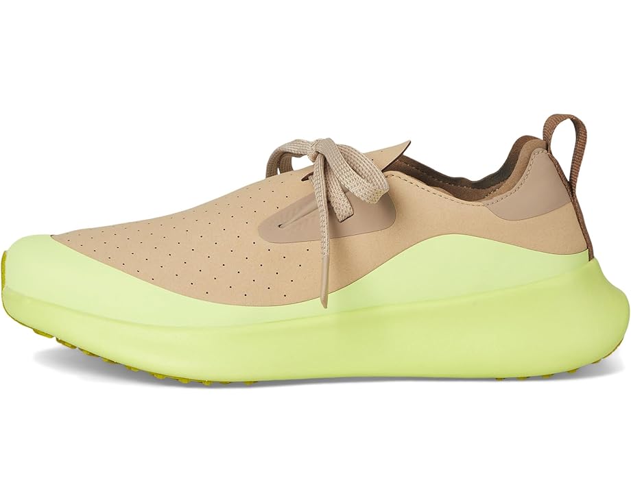 6pm Native Shoes Apollo 10 Roam Unisex