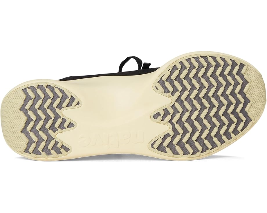 6pm Native Shoes Apollo 10 Unisex