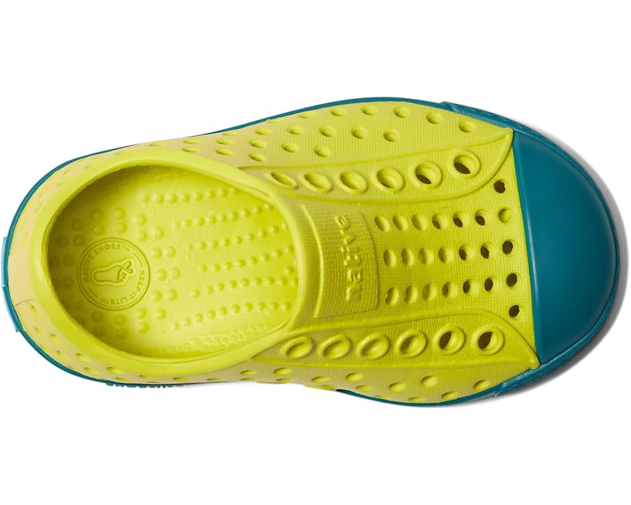 Native Shoes Kids Jefferson (Toddler/Little Kid)