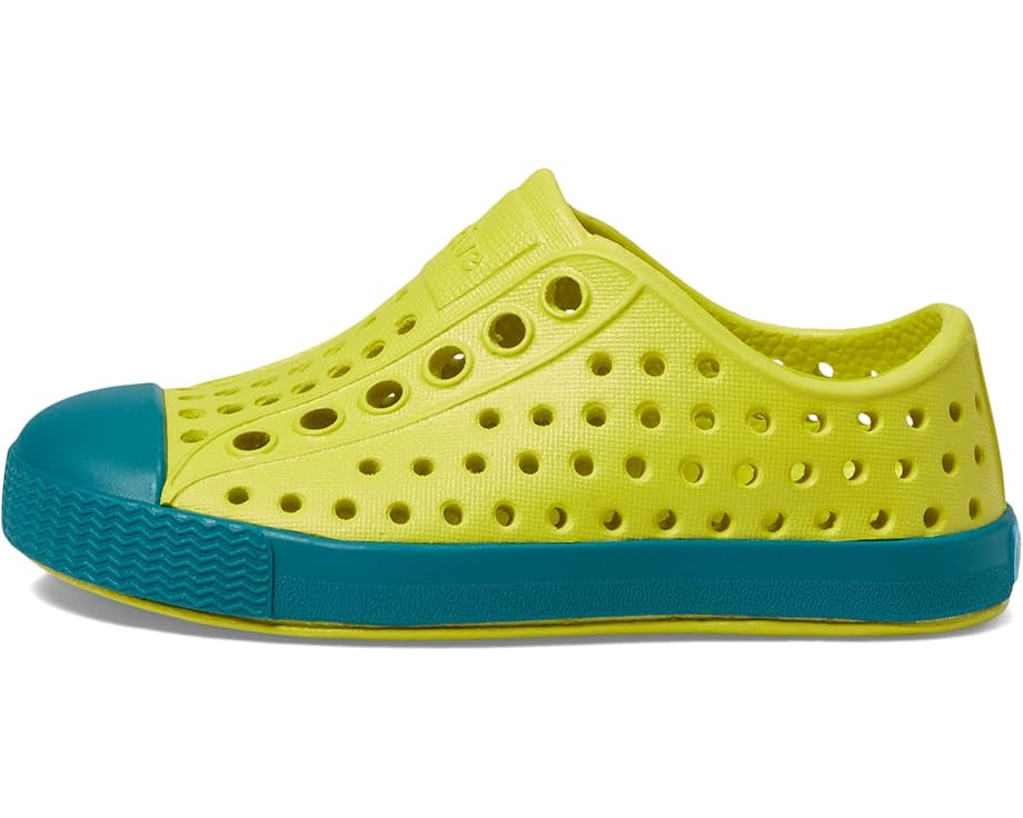 Native Shoes Kids Jefferson (Toddler/Little Kid)