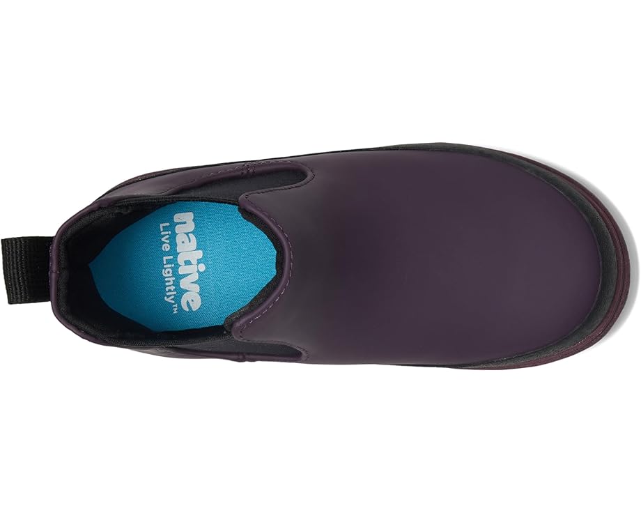 Native Shoes Kids Kensington Chelsea (Toddler)