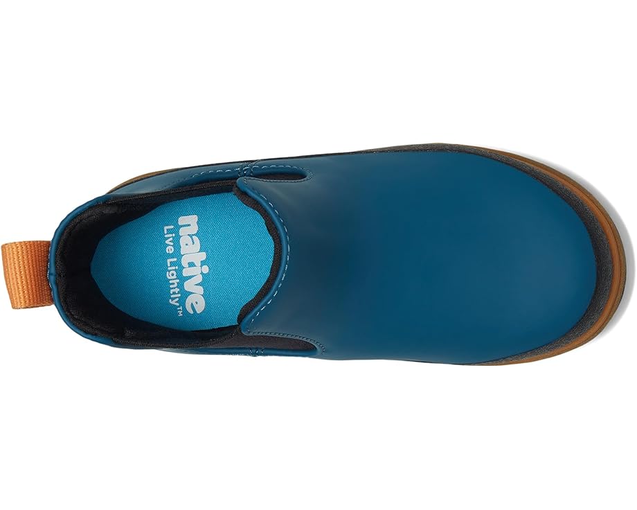 Native Shoes Kids Kensington Chelsea (Toddler)