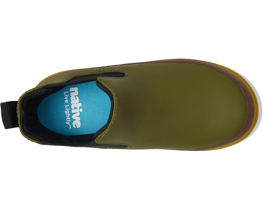 Native Shoes Kids Kensington Chelsea (Toddler)