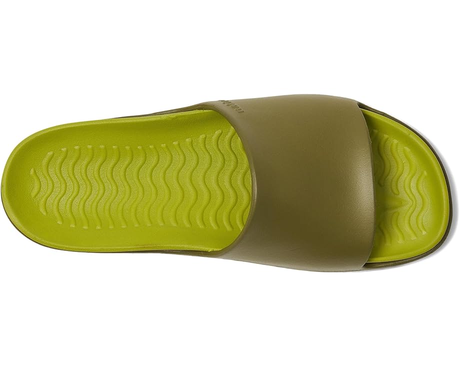 6pm Native Shoes Spencer LX Wanderfoam Unisex