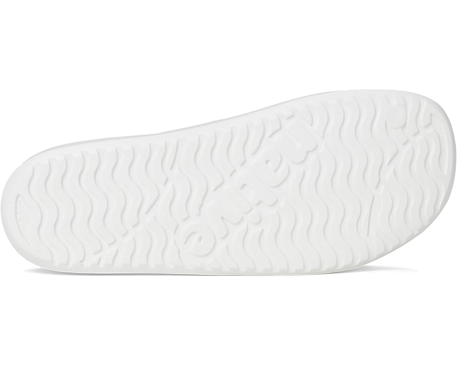 6pm Native Shoes Spencer LX Wanderfoam Unisex