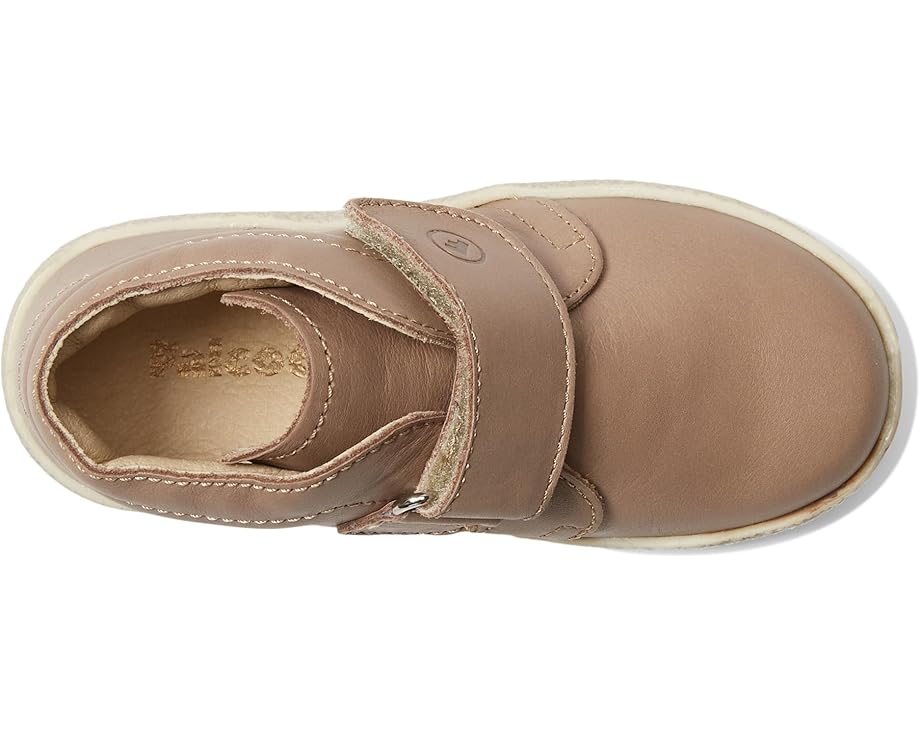 Naturino Falcotto Conte VL (Toddler)
