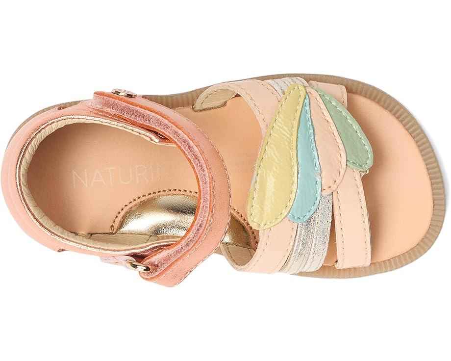 6pm Naturino Flamino (Toddler/Little Kid)