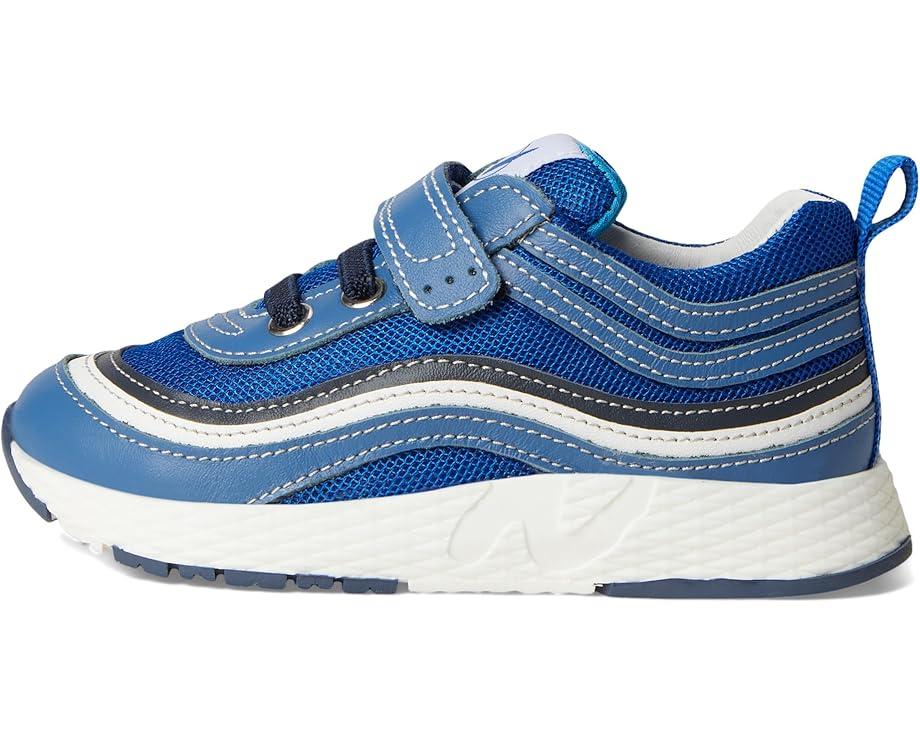 6pm Naturino Miska VL (Toddler/Little Kid)