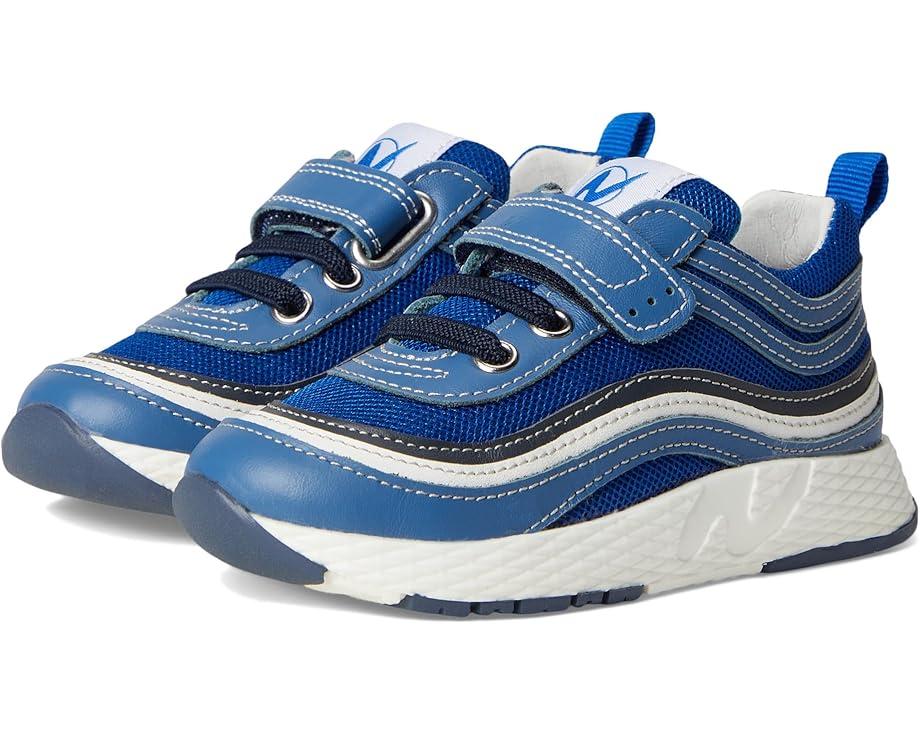 6pm Naturino Miska VL (Toddler/Little Kid)