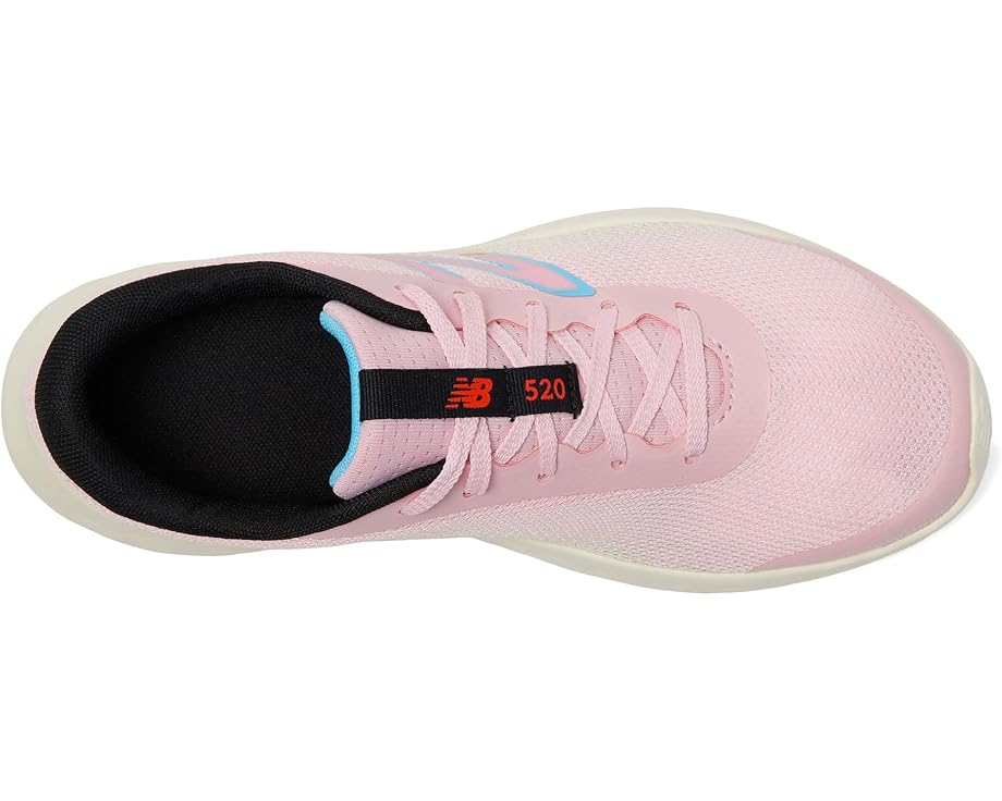 6pm New Balance Kids 520v8 (Big Kid)